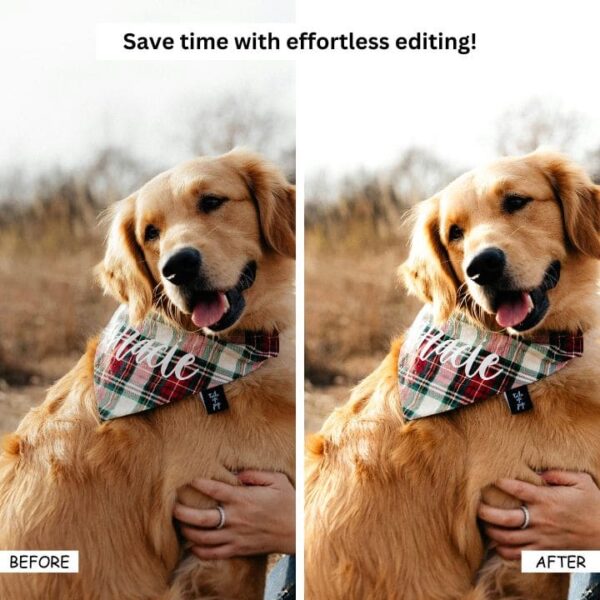 Golden Hour Lightroom Presets