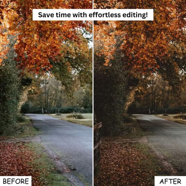 Moody Fall Lightroom Presets