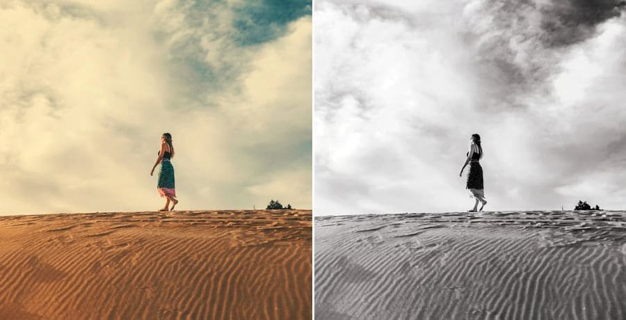 Black & White Lightroom Presets