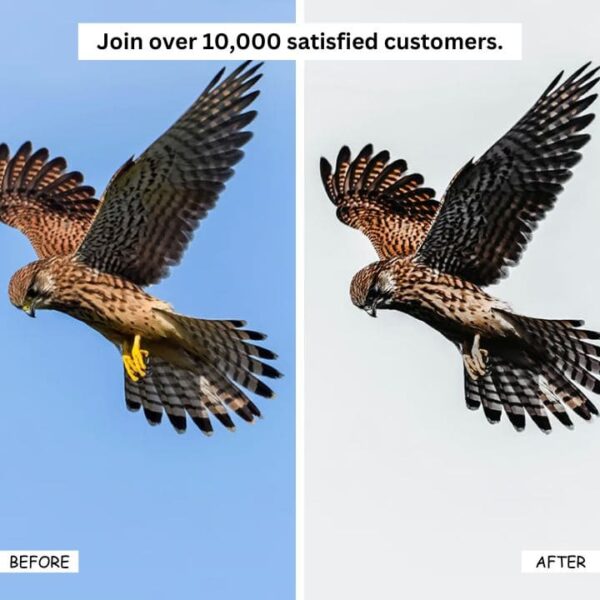 12 Black Bean Lightroom Presets - Free