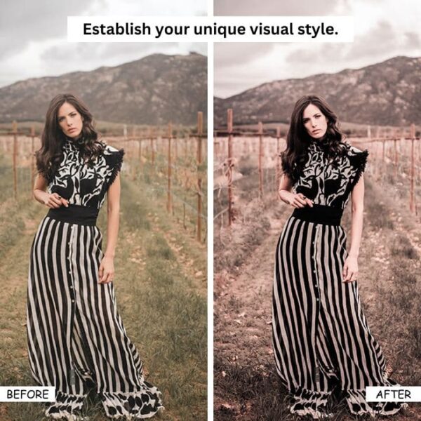 Black Orange Lightroom Presets