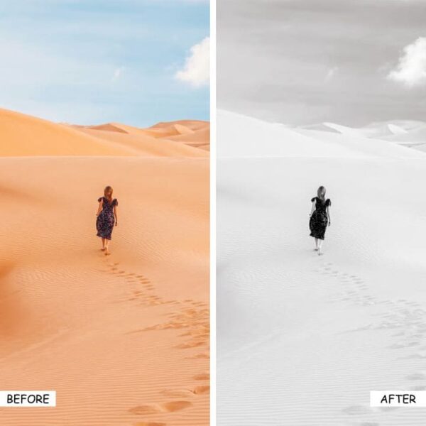 B&W Deluxe Lightroom Presets