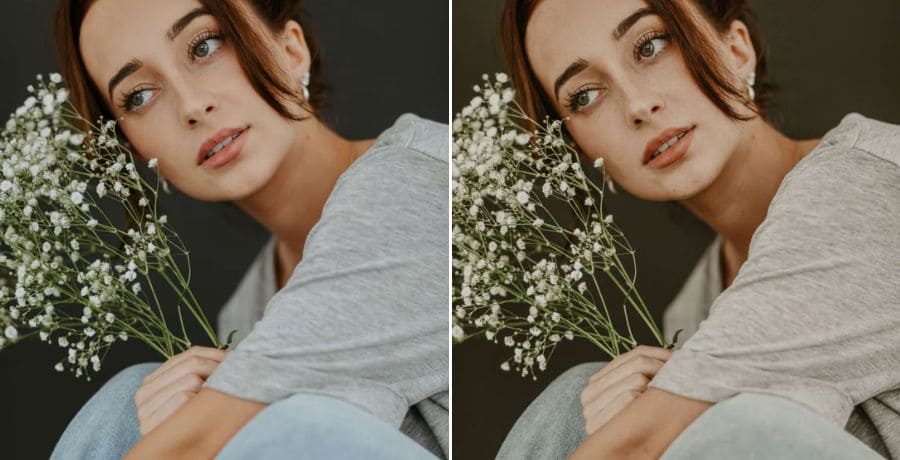 Portrait Lightroom Presets