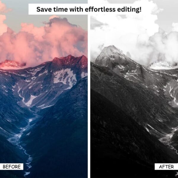 B&W Deluxe Lightroom Presets