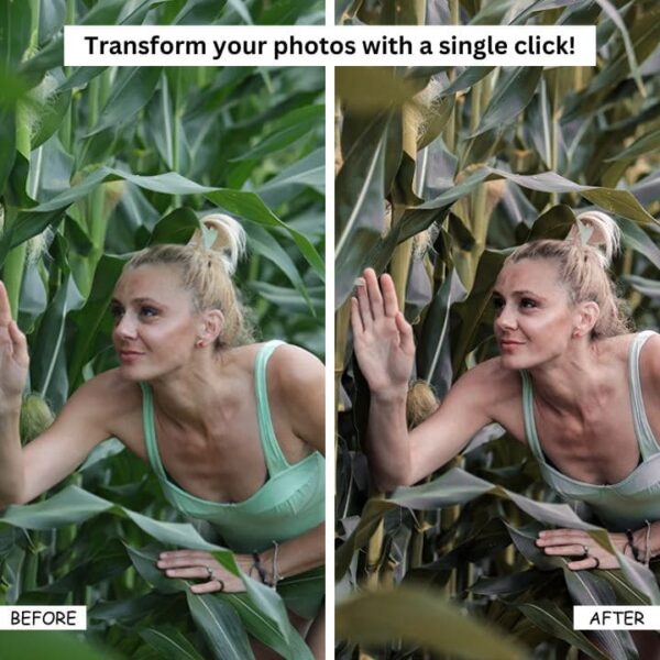 15 Golden Hour Filter Lightroom Presets