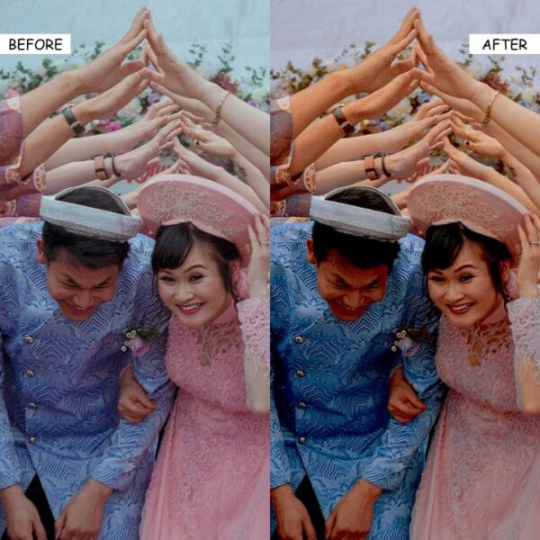 Creators Bundle - Video Luts